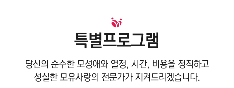 특별프로그램