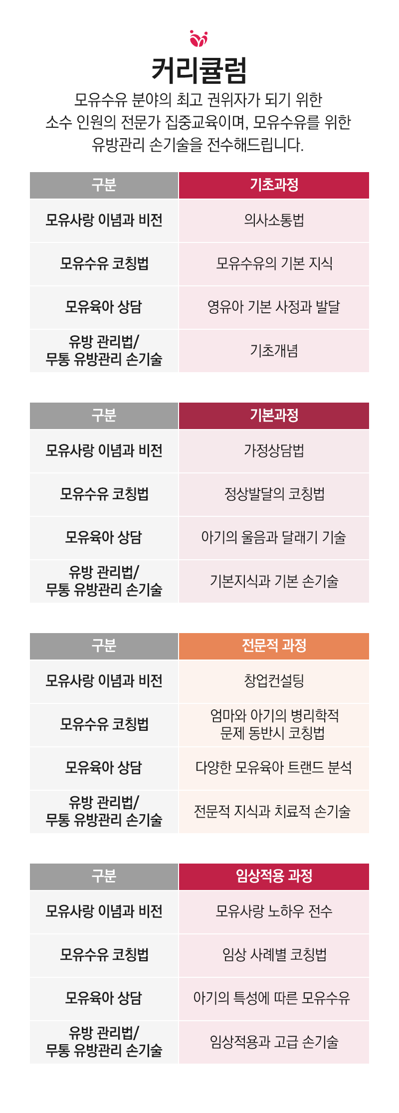 커리큘럼