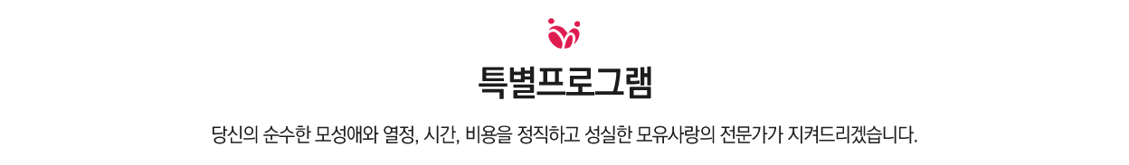 특별프로그램