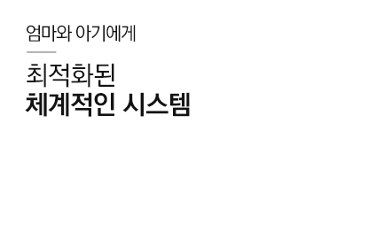 체계적인 시스템