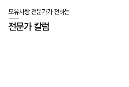 전문가 칼럼